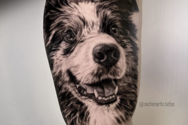 Tatuaje realista retrato mascota, perro. Autor: Nacho Martin.